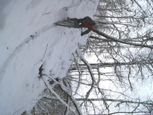 DSC06536.JPG