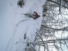 DSC06540.JPG