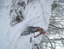 DSC06547.JPG