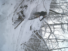 DSC06557.JPG