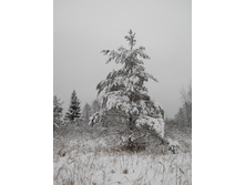 DSCN2312.JPG