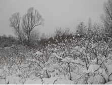 DSCN2313.JPG