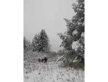 DSCN2314.JPG