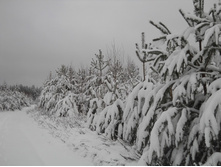 DSCN2323.JPG