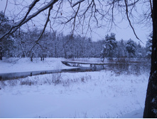 DSCN2329.JPG