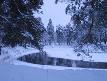 DSCN2330.JPG