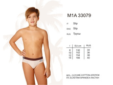 M1A33079_enl.jpg