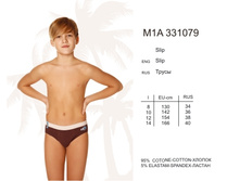 M1A331079_enl.jpg