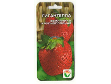 ������ �� �������� ���������� (10 ��)_17,66 ���.