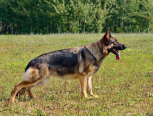 DSC_9769_1_��.jpg