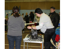 1-IMG_7232.JPG