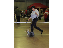 1-IMG_7234.JPG