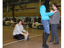 1-IMG_7238.JPG