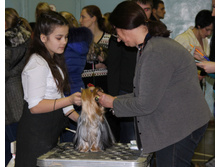 1-IMG_7250.JPG