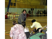 1-IMG_7252.JPG