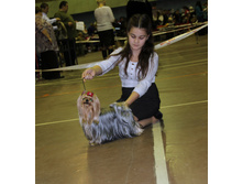1-IMG_7280.JPG