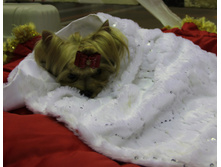 1-IMG_7293.JPG