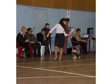 1-IMG_7302.JPG
