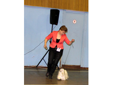 1-IMG_7305.JPG