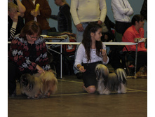1-IMG_7310.JPG