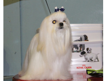 1-IMG_7325.JPG