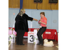 1-IMG_7338.JPG