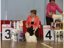 1-IMG_7341.JPG