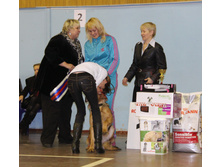 1-IMG_7348.JPG