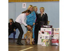 1-IMG_7349.JPG