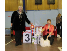 1-IMG_7352.JPG