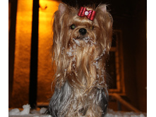 1-IMG_7370.JPG