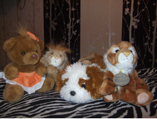 DSCF8498.JPG