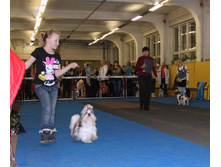 1-IMG_7497.JPG