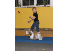 1-IMG_7498.JPG