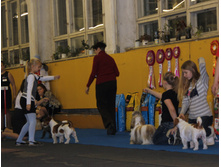 1-IMG_7500.JPG