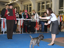 1-IMG_7501.JPG