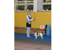 1-IMG_7503.JPG