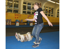 1-IMG_7516.JPG