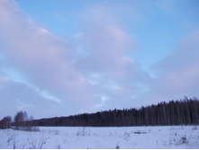 DSCN4378.JPG