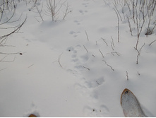 DSCN4391.JPG