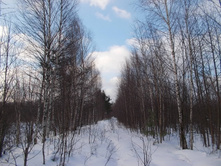 DSCN4393.JPG