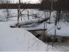 DSCN4395.JPG