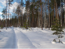 DSCN4401.JPG