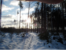 DSCN4403.JPG