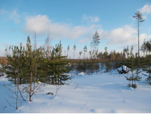 DSCN4407.JPG