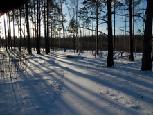 DSCN4410.JPG