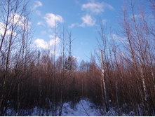 DSCN4416.JPG