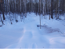 DSCN4417.JPG