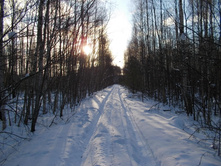 DSCN4420.JPG