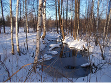 DSCN4422.JPG